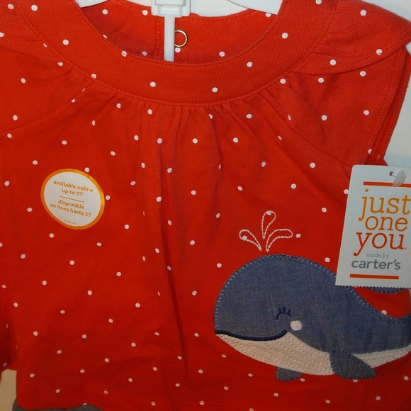 NWT Beautiful Newborn Girl Carter's 2pc Summer Shorts Set - Picture 6 of 8
